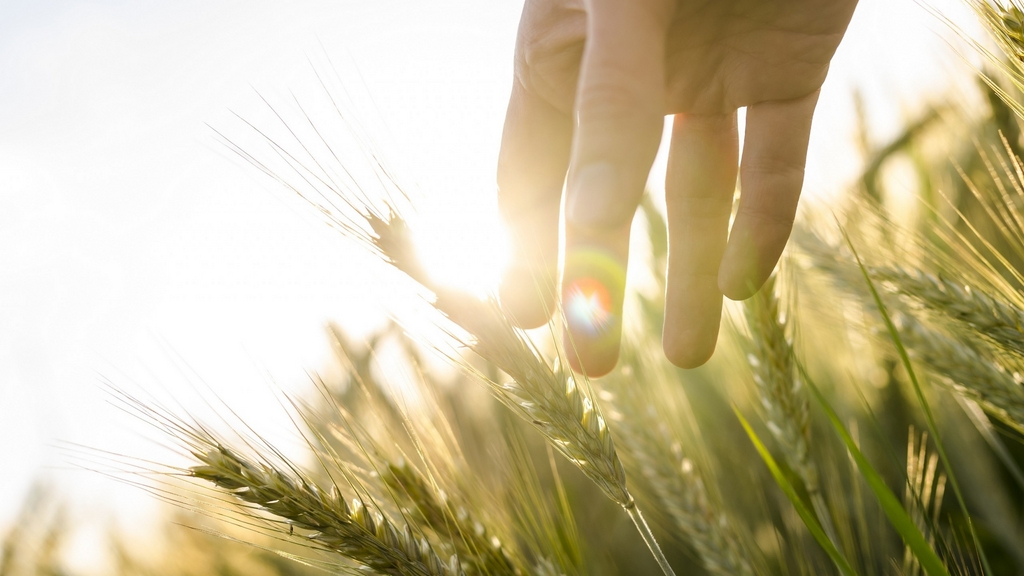 Clichés autour du gluten